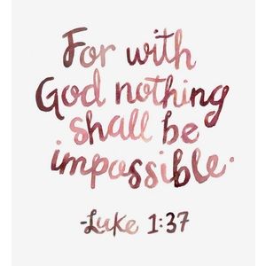 Meet your Posher, Lily